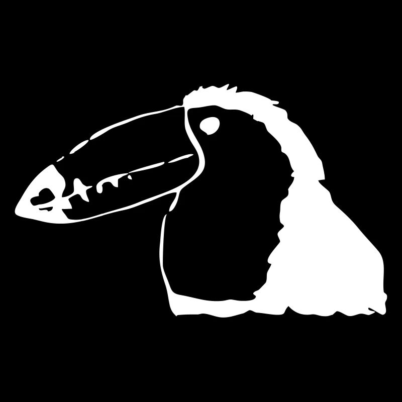 Oiseau toucan