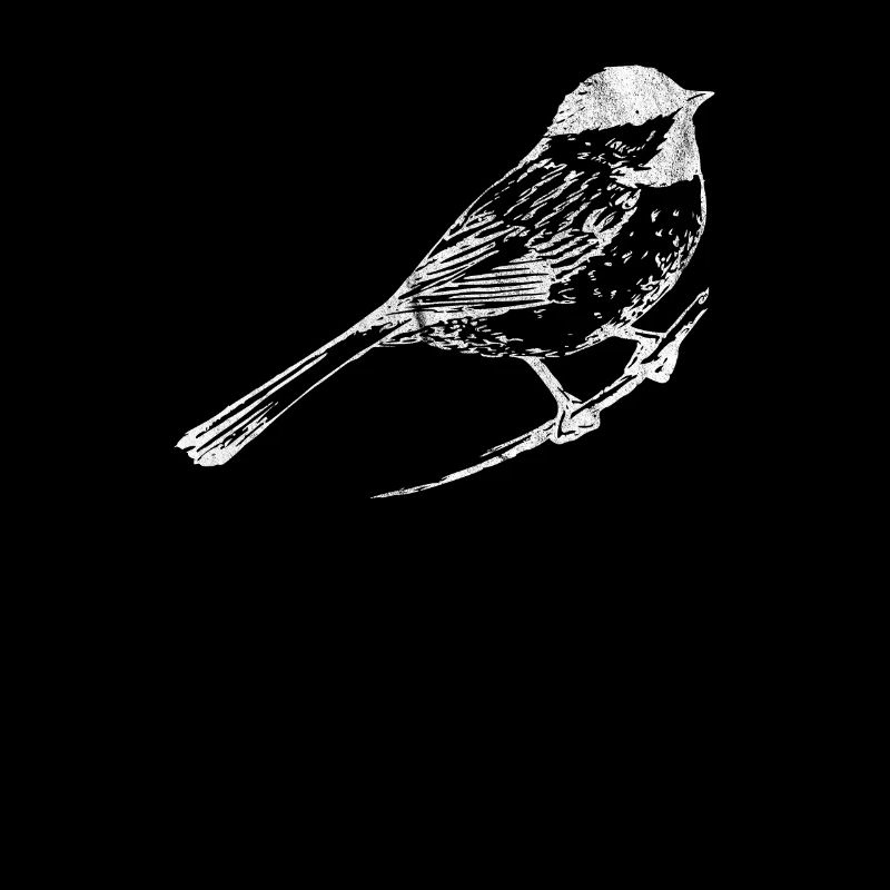 Vogel