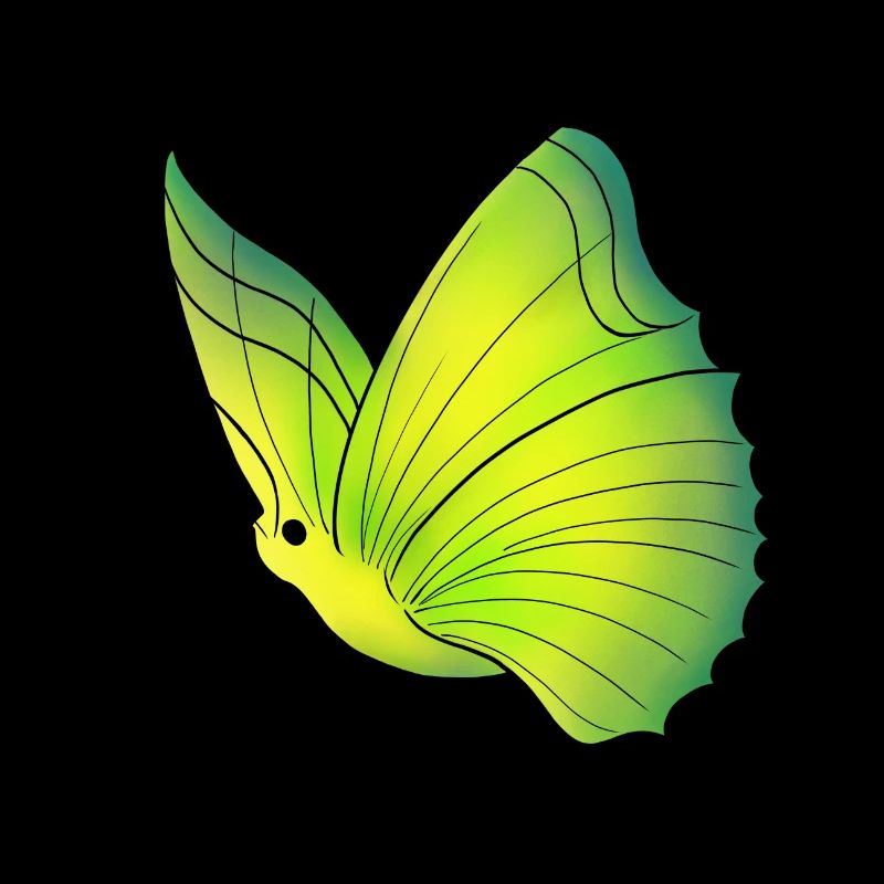 Papillon