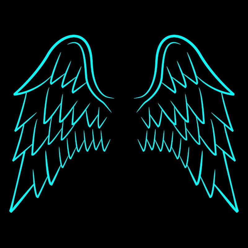 Ailes d'ange ailes