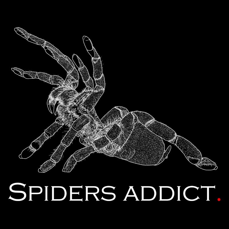 Spiders addict