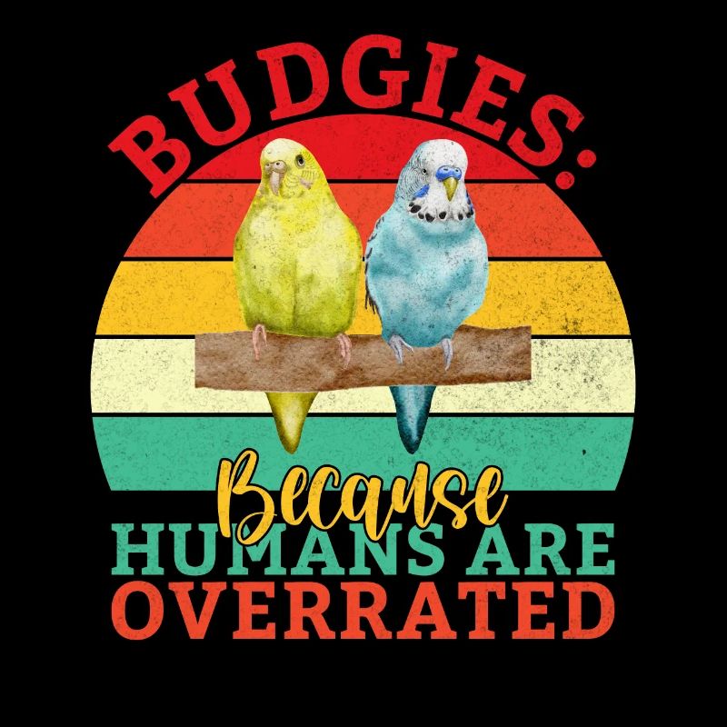 Budgie Gift