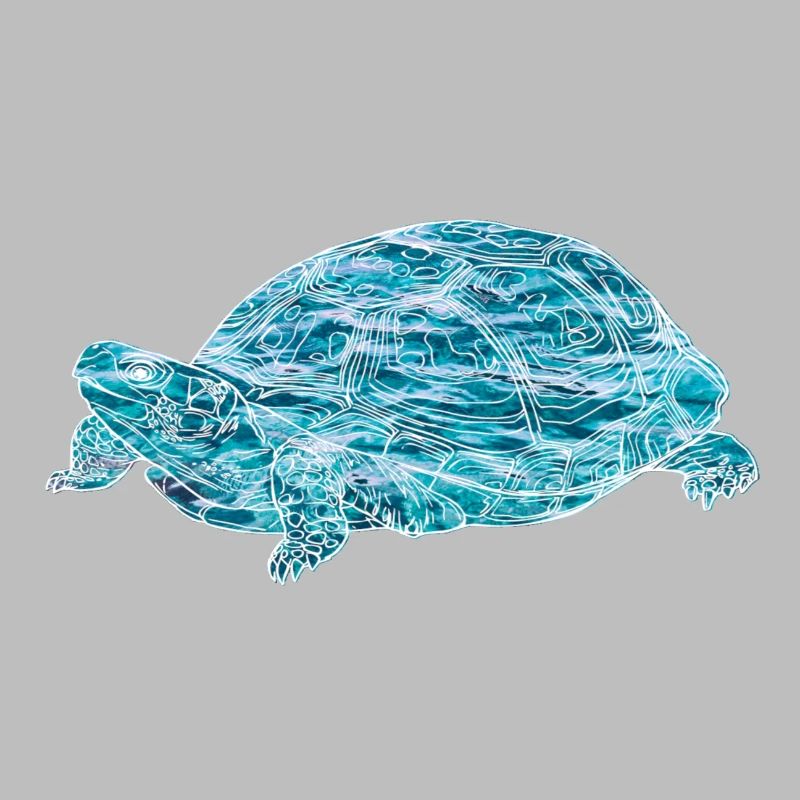 turtle, toad, animals, nature