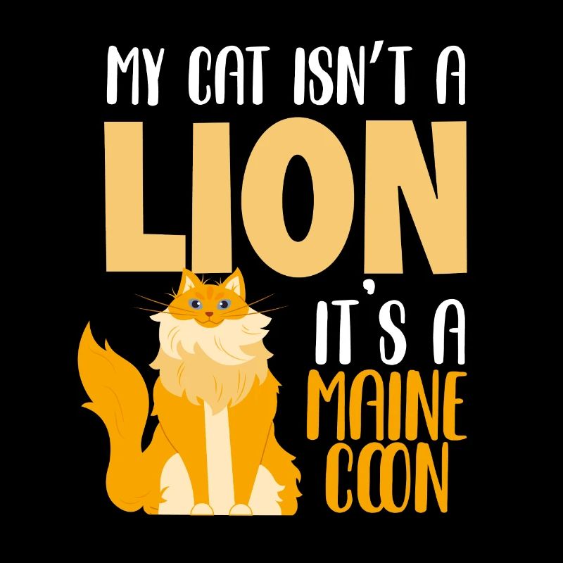 Maine Coon Cat