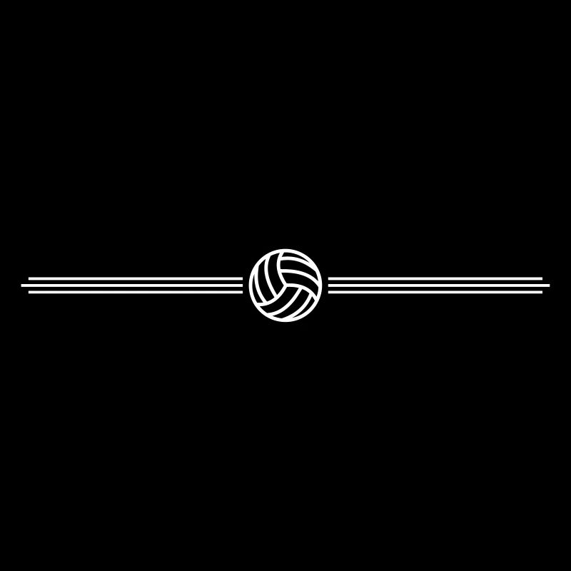 volley-ball team