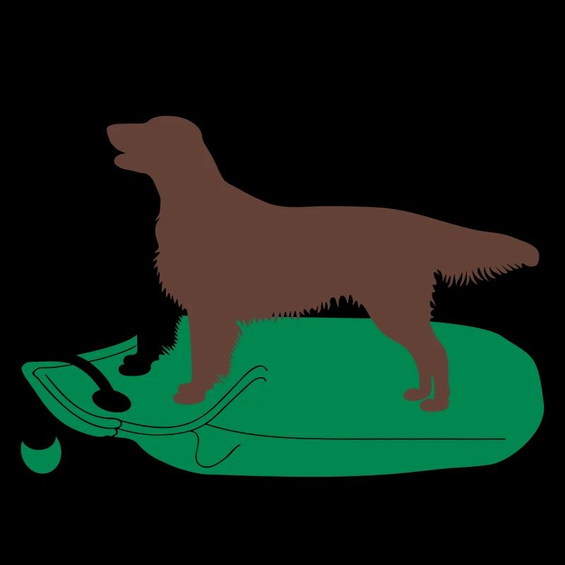 2 Flat Coated Retriever auf Dummy