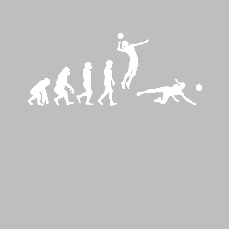 Volleyball Evolution
