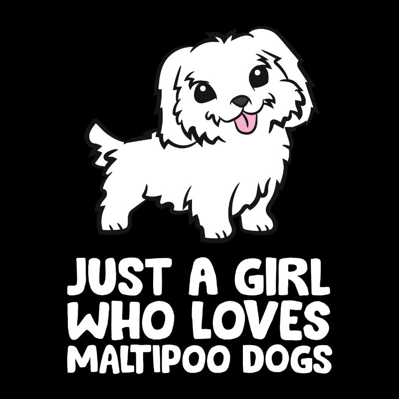Nur ein Mädchen, das Maltipoo-Hunde liebt