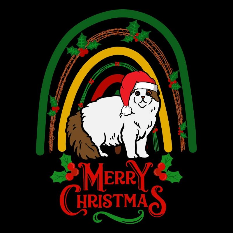 Chat écossais à oreille pliante Noël