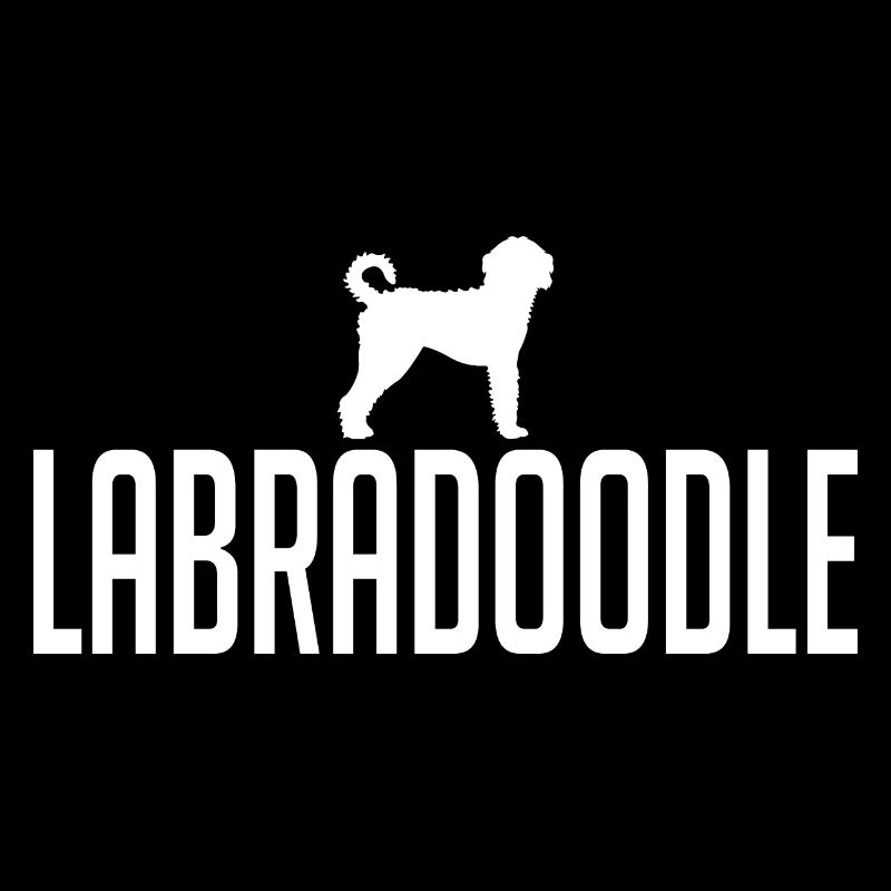 Labradoodle Races de chiens Chiens Wilsigns