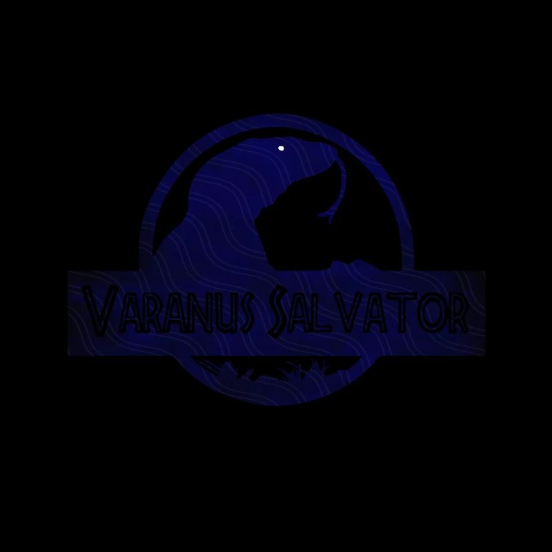 Varanus salvator // Bindenwaran, Lézards