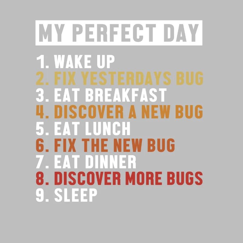 Fix Bugs Perfect Day Developer Coder Programmierer