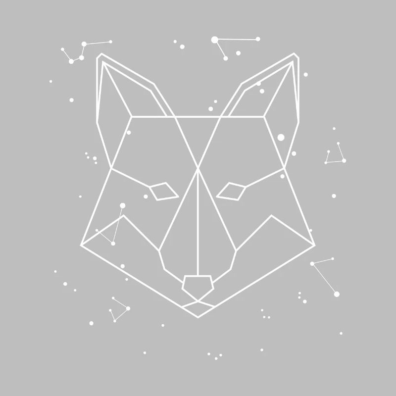 Sternbild Fox Constellation Caninae Red Fox
