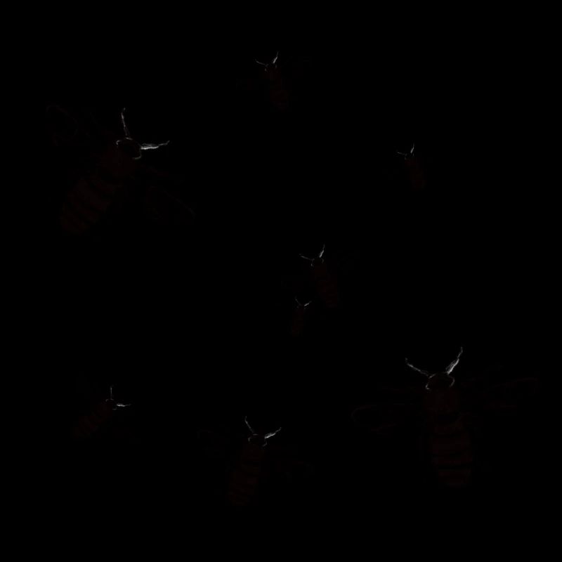 Bienen