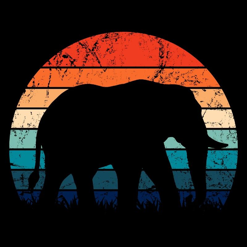 Elephant - big game, tusk, ivory sunset