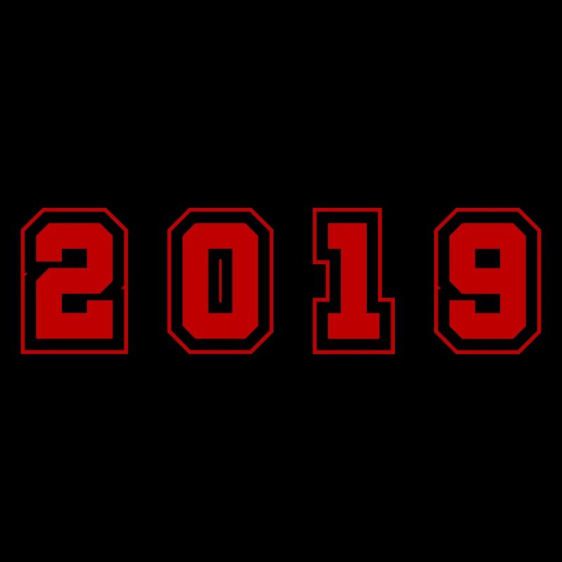 2019 Year Number