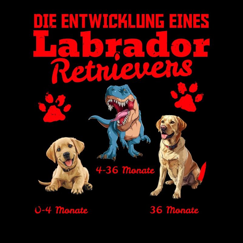 Hundebesitzer DIE EVOLUTION EINES LABRADOR