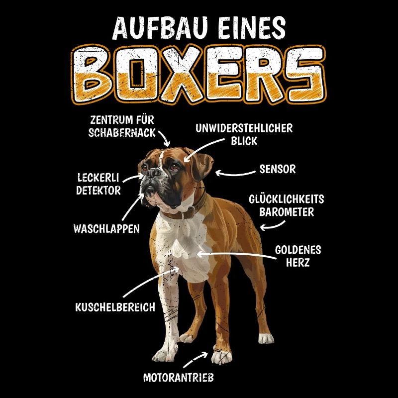 Deutscher Boxer AUFBAU EINES BOXERS Lustiges Boxer