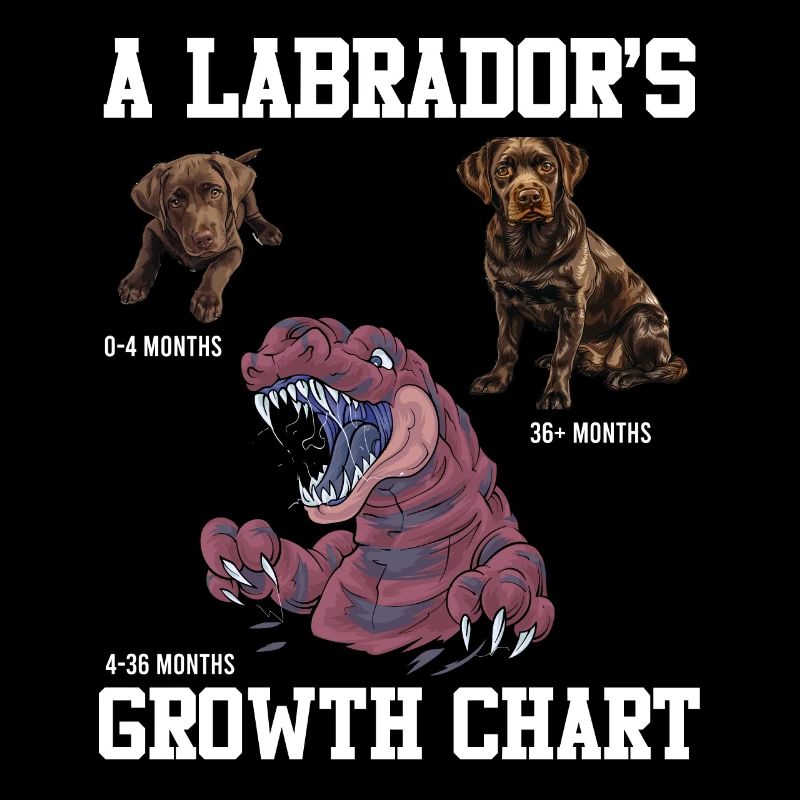 Labrador Lovers Labrador GROWTH CHART
