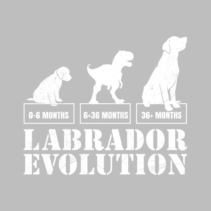 Labrador EVOLUTION Labrador Lover Drôle