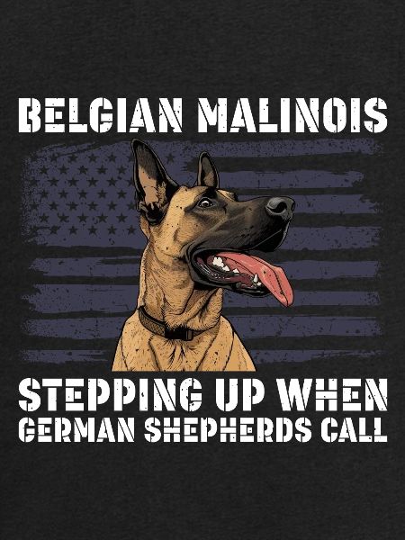 BELGISK MALINOIS STÅR OPP NÅR SEGEREN RINGER