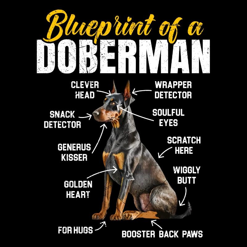 Doberman Chien PLAN D’UN DOBERMAN Drôle