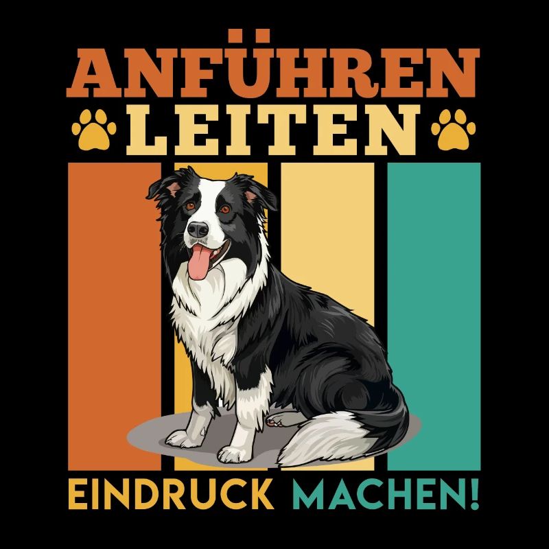 Border Collie GUIDE PRINCIPAL FAITES BONNE IMPRESSION