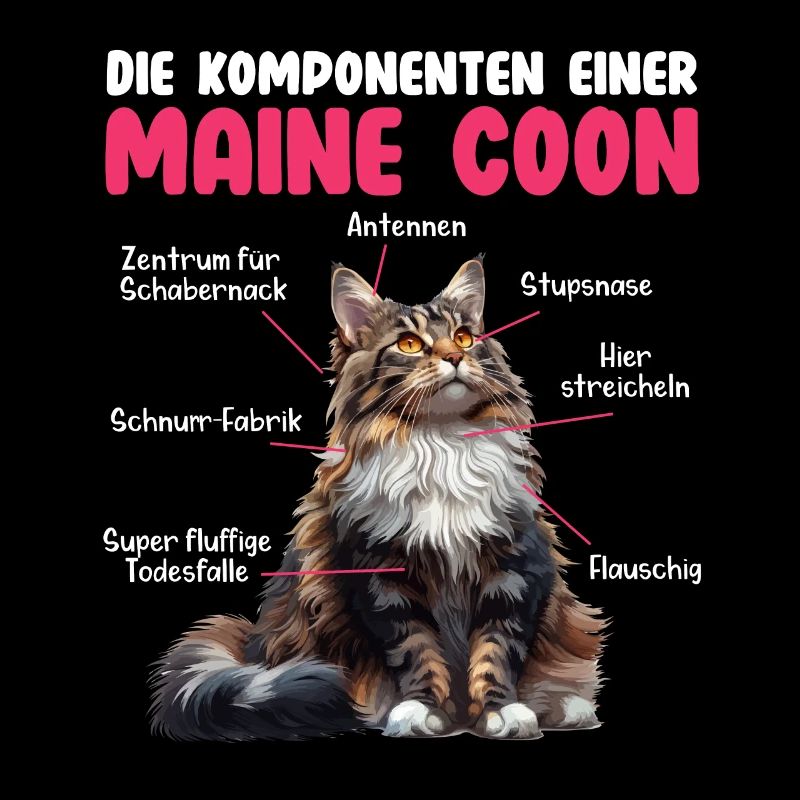 Maine Coon Katzen KOMPONENTEN EINER MAINE COON