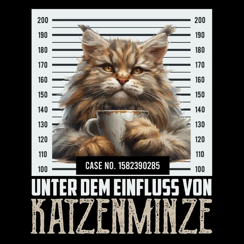 Maine Coon Funny SOUS L’INFLUENCE DE