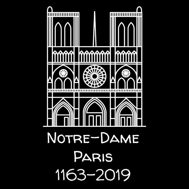 Notre Dame Paris 1163 2019
