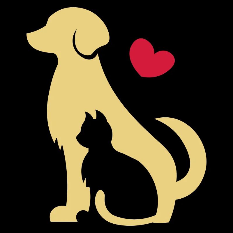 Chien avec chat - amis pour toujours - chat et chien