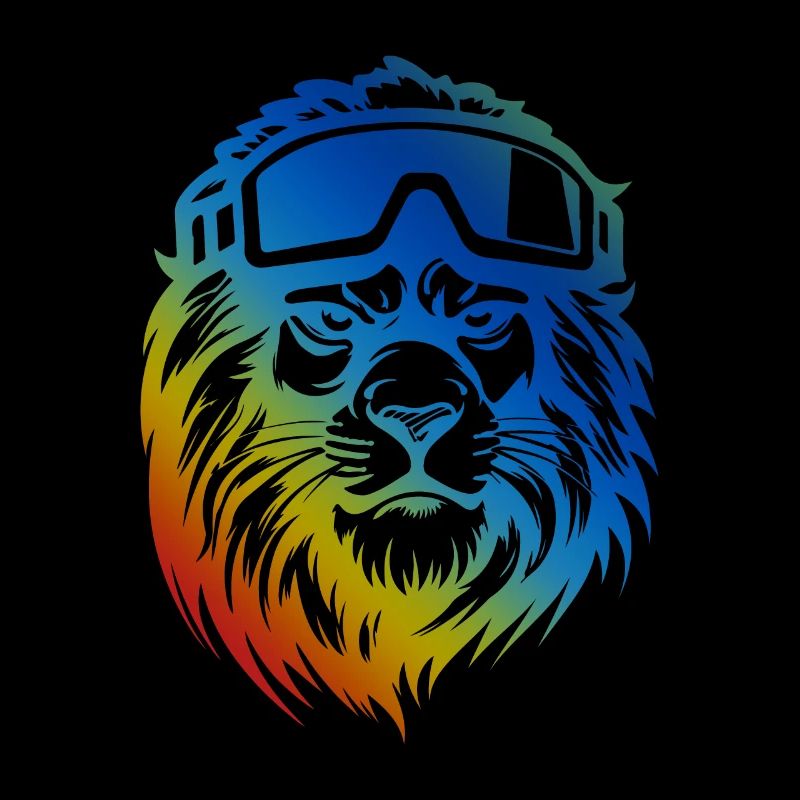 Lion Snowboard Lunettes De Ski Coloré