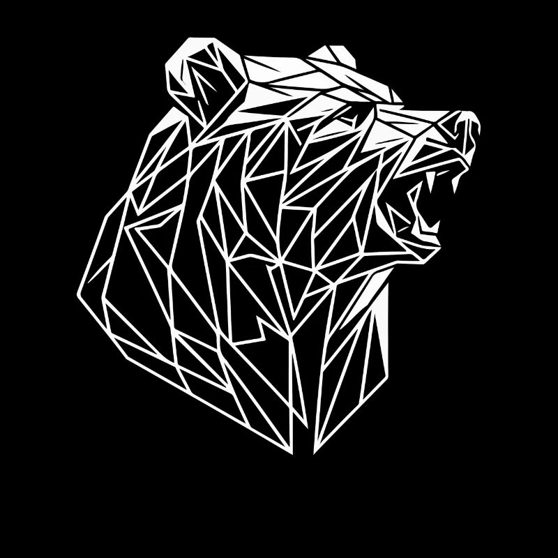 Bär Polygon