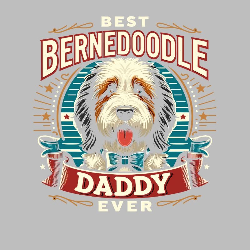 Bernedoodle Dog Daddy