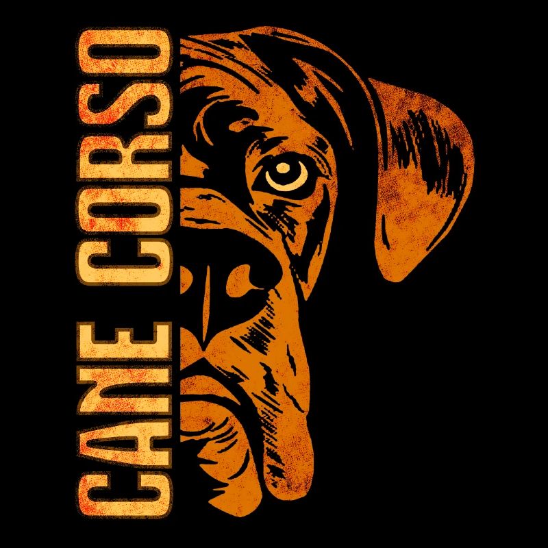 Cane Corso Hund