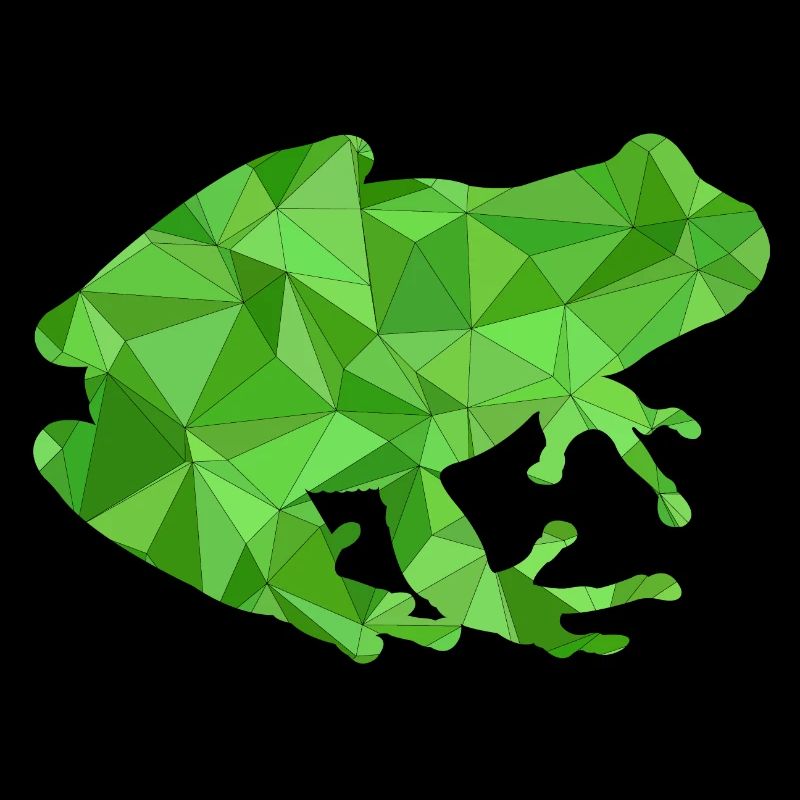 Frosch Geometrisch