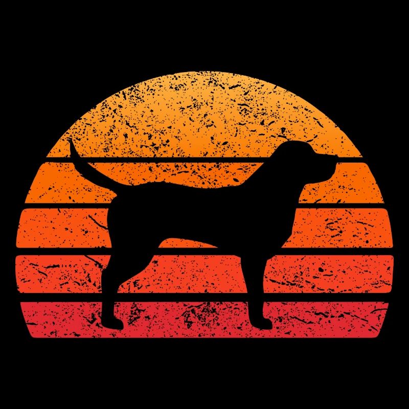 Hund Labrador Retro Sonne Hundehalter Geschenk