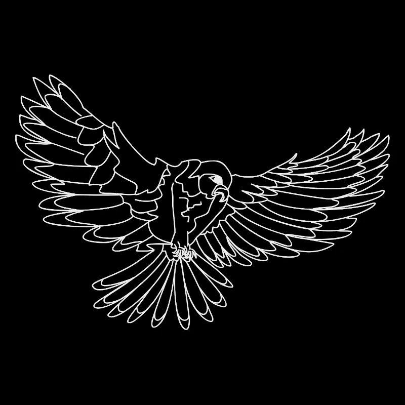 Un oiseau de proie
