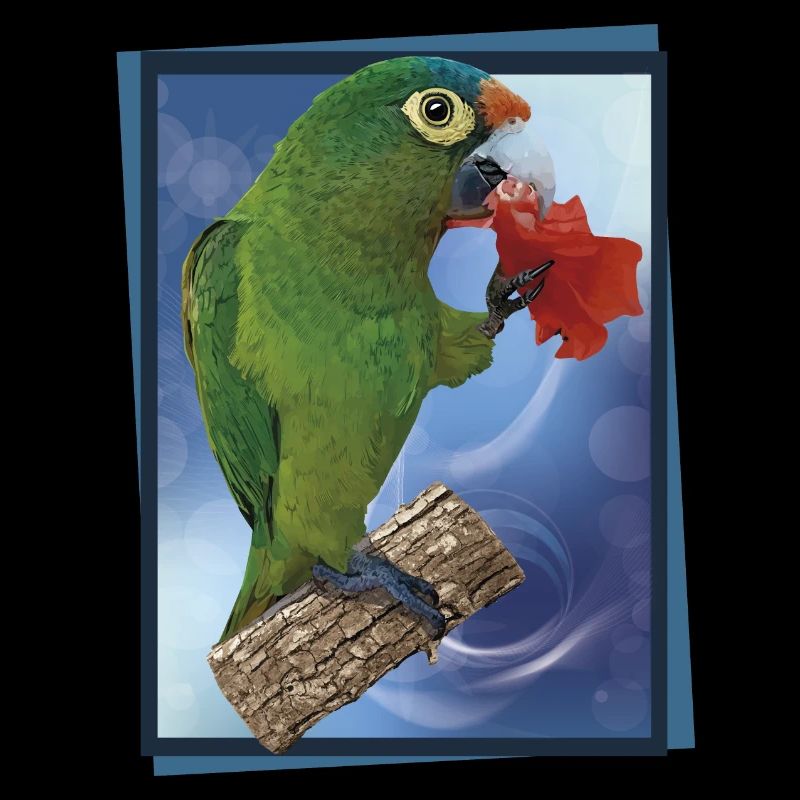 Perruche à front orange