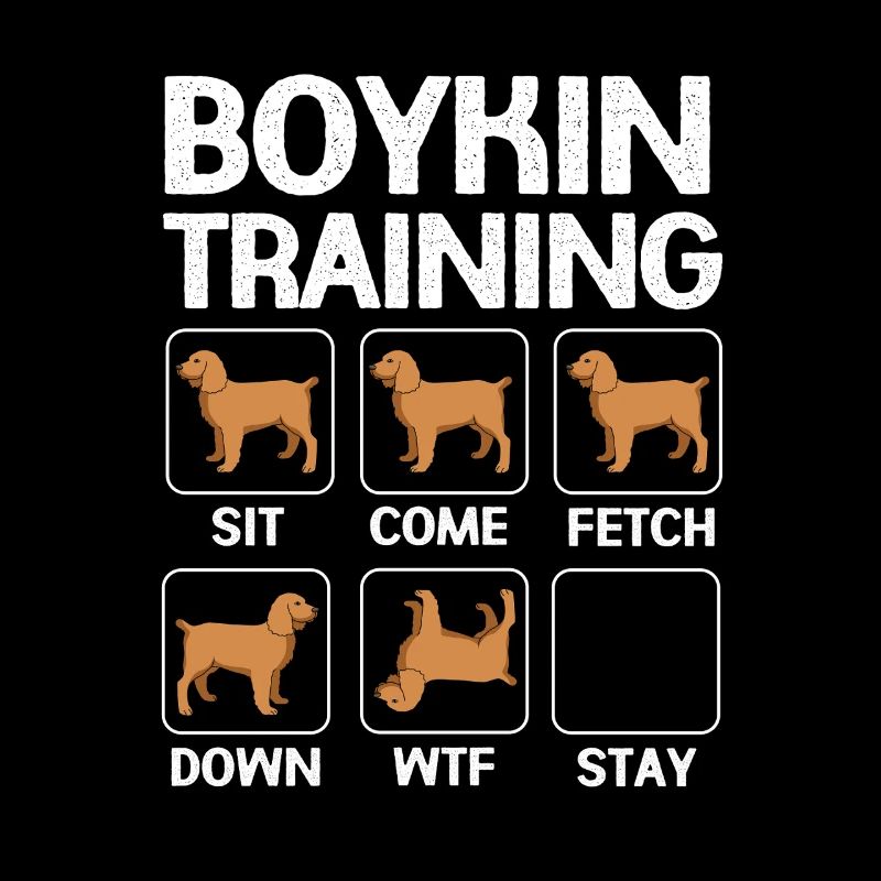 Boykin Spaniel