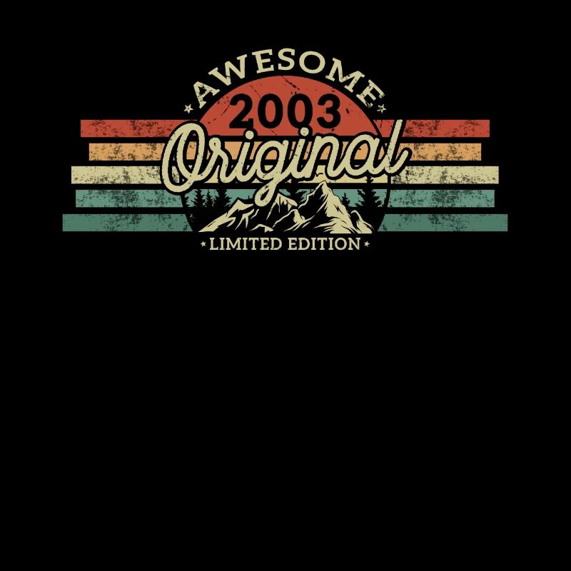 Vintage Retro Birthday Gift 2003