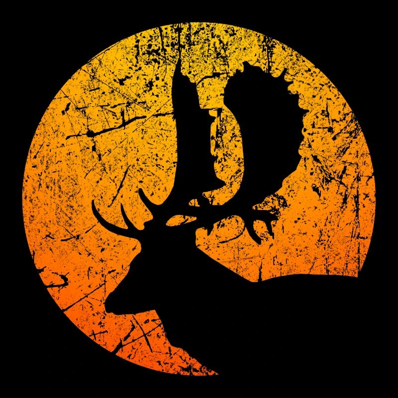 forest wild sun nature hunter fallow deer stag hunting