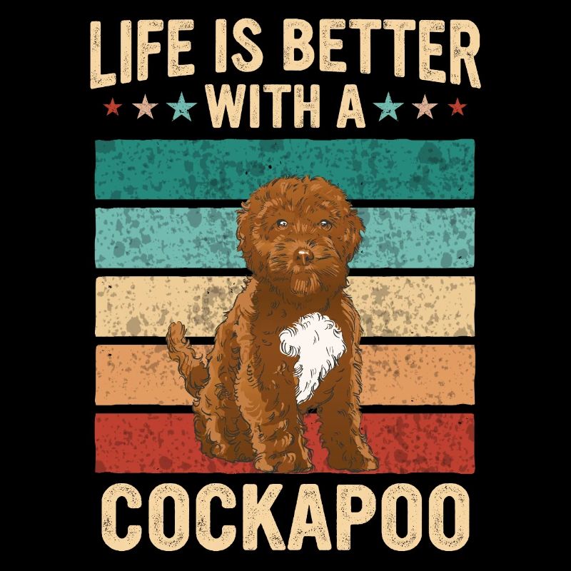 Cockapoo Chien