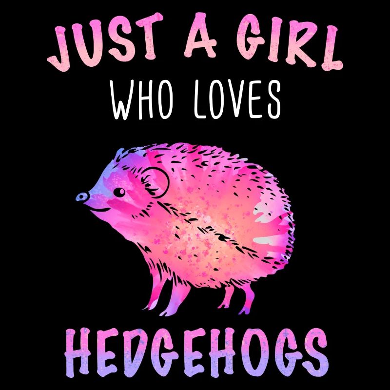 Igel Stachelig Tier Igel