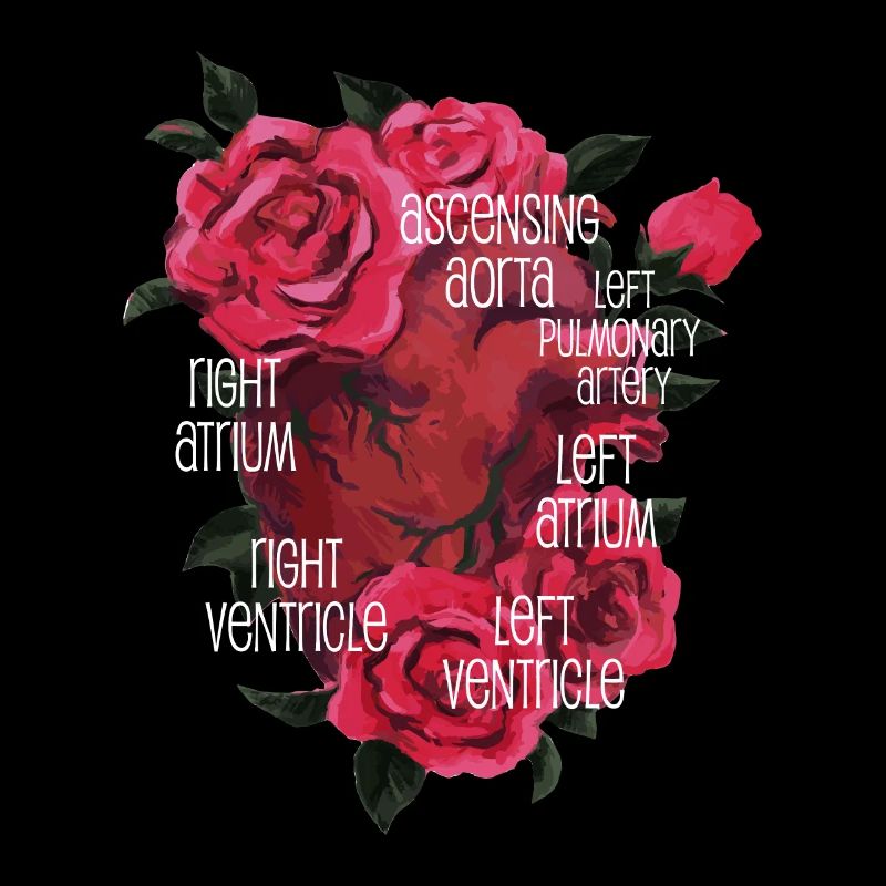 Anatomisches Herz und Blumen