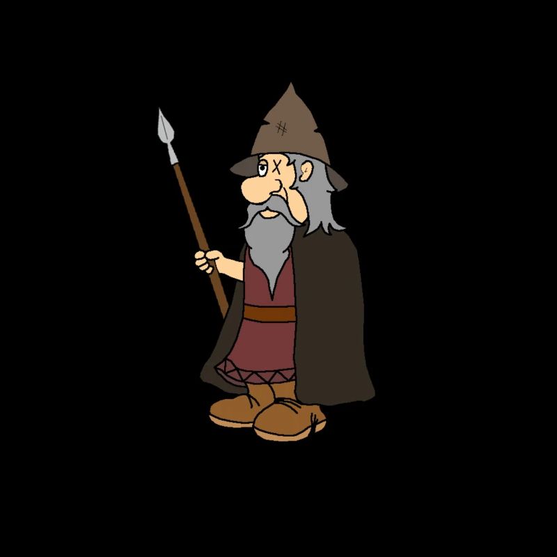 Odin der Wikinger