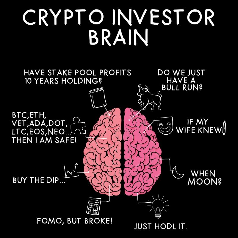Crypto Investor Brain | Crypto fan gift