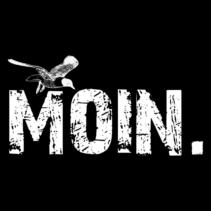 Moin Möwe