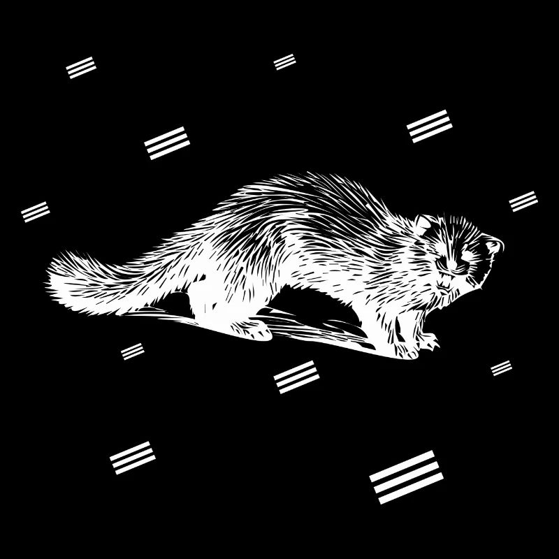 Rat - rongeur