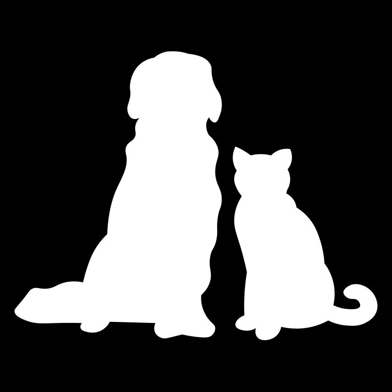 Chat avec chien